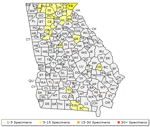 The range of Pinus strobus